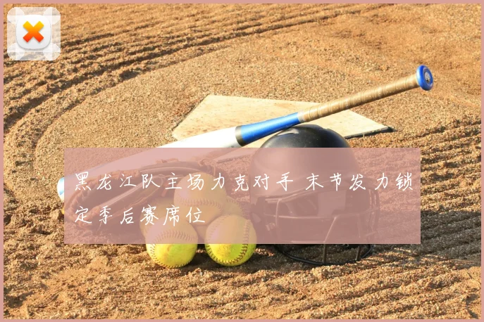 黑龙江队主场力克对手 末节发力锁定季后赛席位
