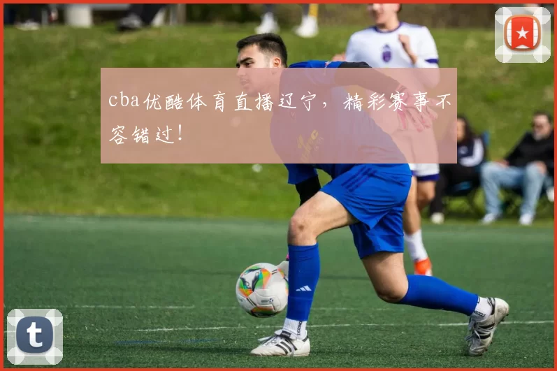 cba优酷体育直播辽宁,精彩赛事不容错过!