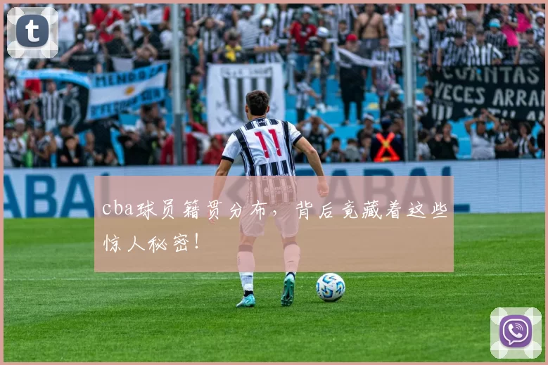 cba球员籍贯分布,背后竟藏着这些惊人秘密!